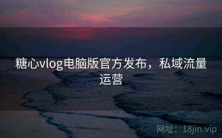 糖心vlog电脑版官方发布，私域流量运营